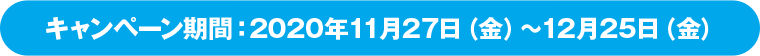 キャンペーン期間：2020年11月27日（金）～12月25日（金）