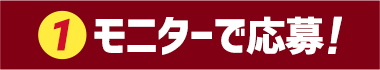 （1）モニターで応募！