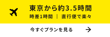 今すぐプランを見る