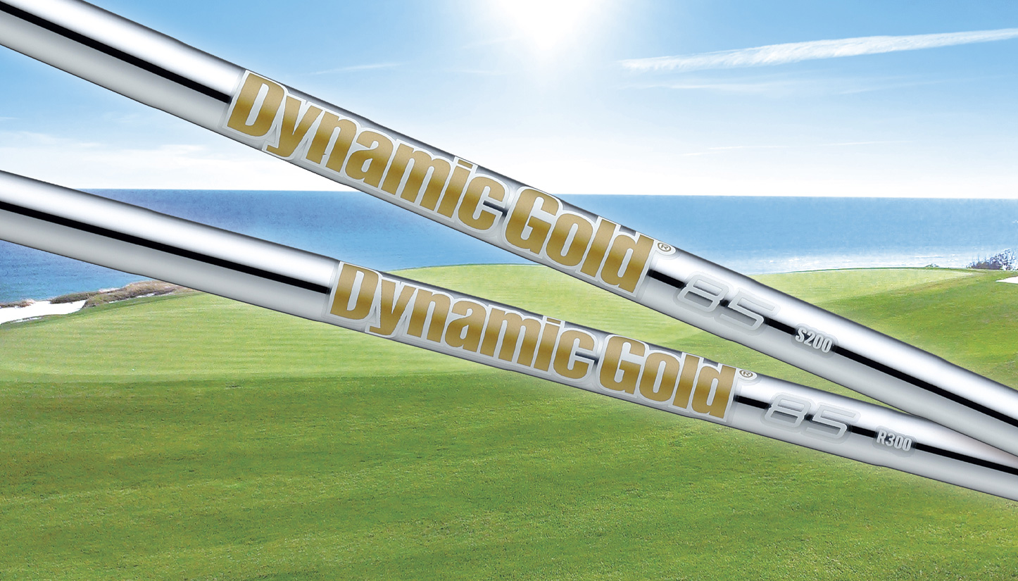 ダイナミックゴールド85（Dynamic Gold 85/DG 85）の製品画像