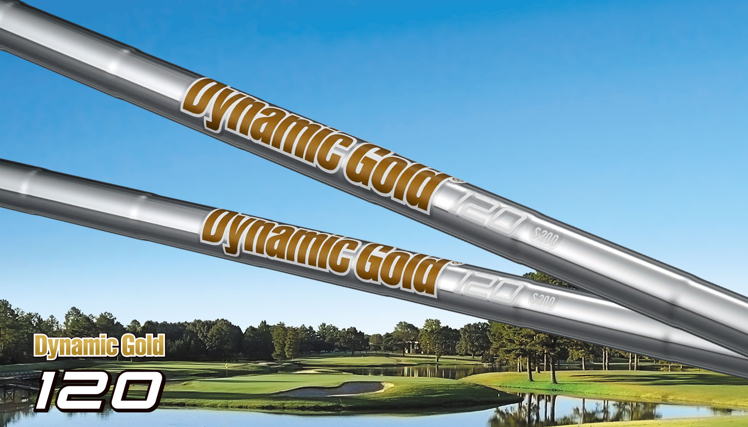 ダイナミック ゴールド 120(Dynamic Gold 120/DG 120)の製品画像