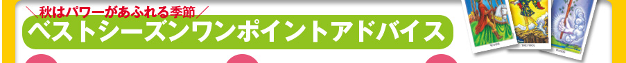 秋はパワーがあふれる季節  ベストシーズンワンポイントアドバイス