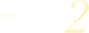 coordinate2 動きやすさとスタイリッシュさを両立させた「ムーブメッシュ」で戦いに挑む