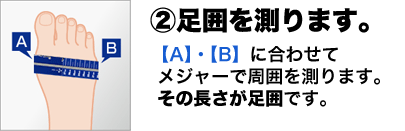②足囲を測ります。