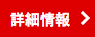詳細情報