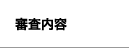 審査内容