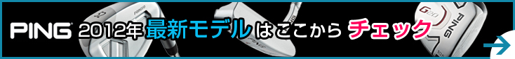 PING2012NŐVf͂`FbN