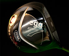 PRGR egg7(GbOZu)