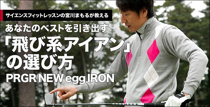 Ȃ̃xXgouьnACAv ̑Iѕ@PRGR NEW egg IRON