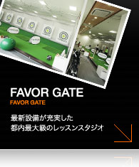 FAVOR GATE