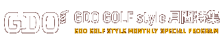 GDO GOLF style ԓW