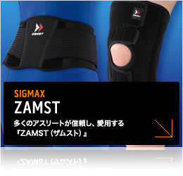 SIGMAX