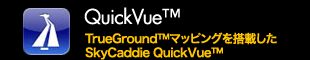 QuickVue