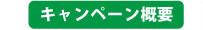 キャンペーン概要
